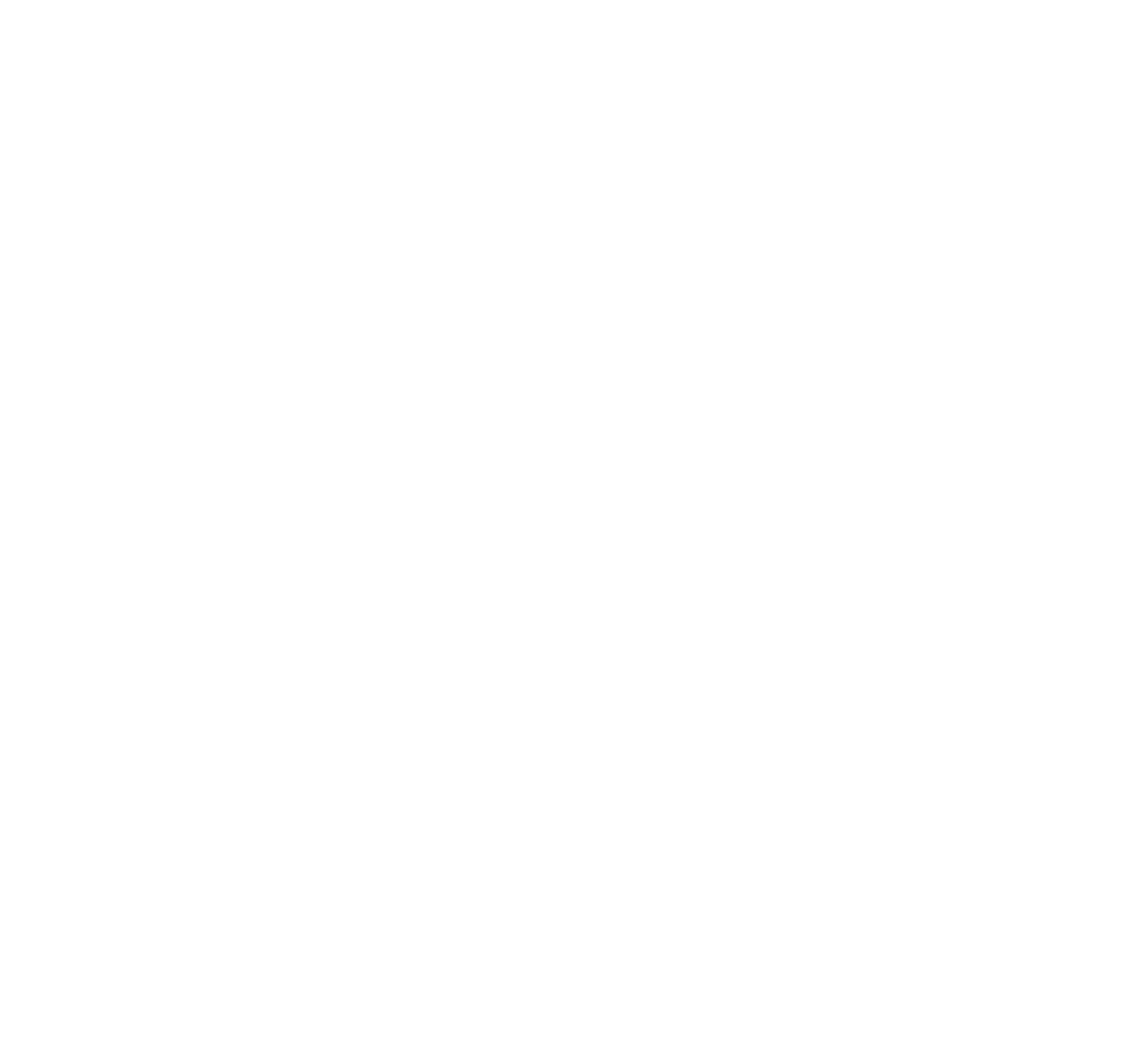 Piccin logo