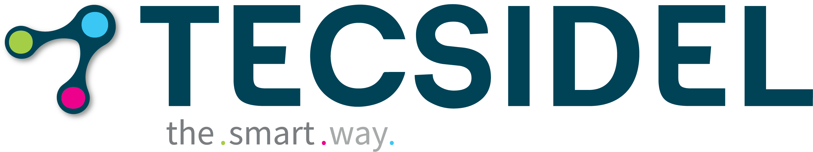 TECSIDEL logo